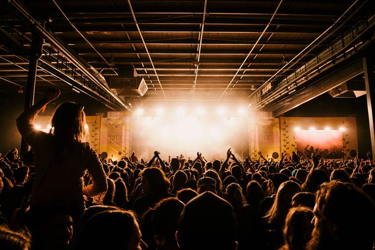 A silhouette of a crowd at a concert.