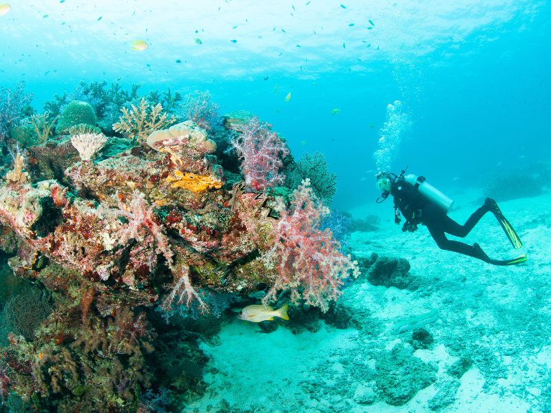 Vibrant coral reef and scuba diver in Khao Lak Thailand