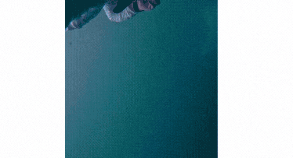 Seeing manta rays up close in Maldives