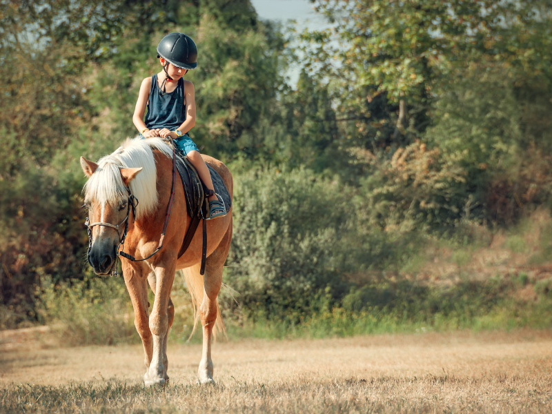A boy riding a horse in nature