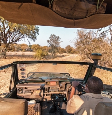 Victoria Falls Game Drives