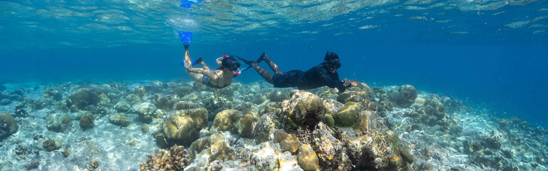 Guest diving in the vibrant House Reef at Avani+ Fares Maldives Resort located in the Baa Atoll Maldives
