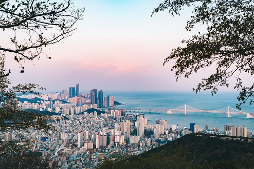 Do Disturb - AvaniMe Resident Undercover Report of Busan’s Best Kept Secrets