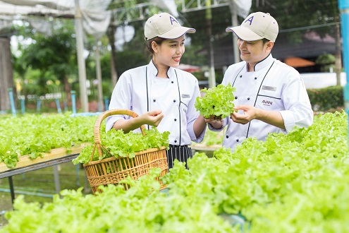 Avani Hotels Shares DIY Hydroponics at Home