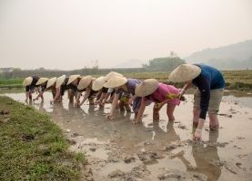Avani Puts a Spotlight on Community-Focused Travel Stories