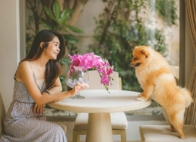 Bark & Breakfast with Avani+ Hua Hin Resort