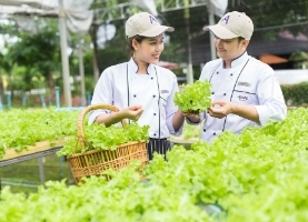 Avani Hotels Honours Earth Day 2021