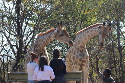 Meet your friendly neighbours at AVANI Hotels in Zambia, Thailand and Laos
